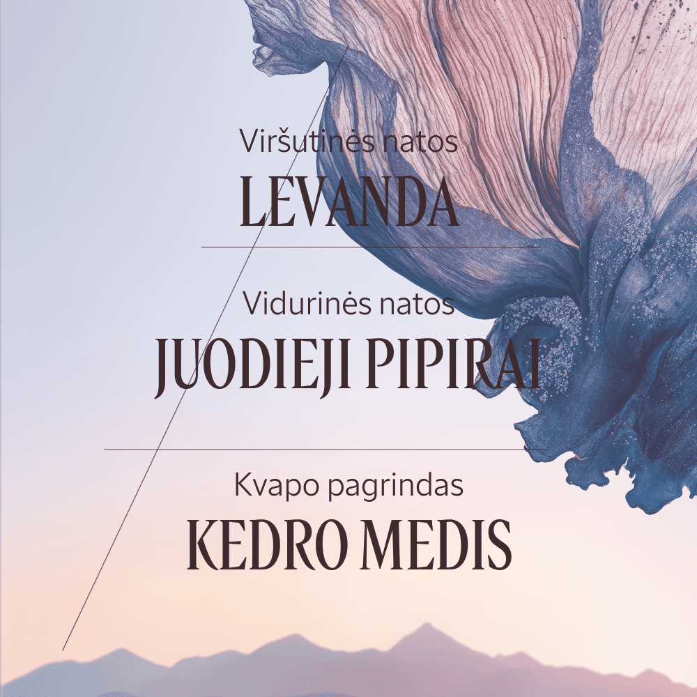 Rutulinis dezodorantas „Lavande Poivre Noir“ Normal L'Occitane