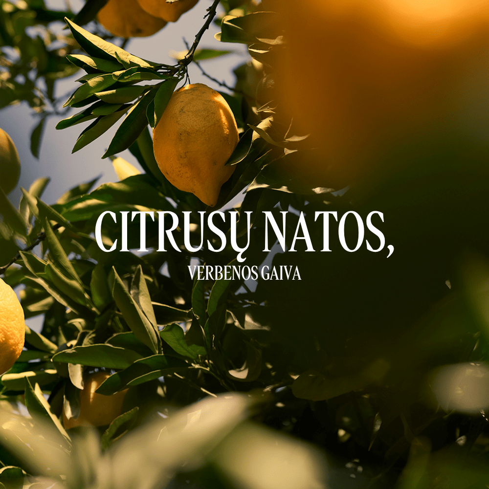 Citrusinės verbenos (Verveine Agrumes) pieštukinio dezodoranto papildymas Normal L'Occitane