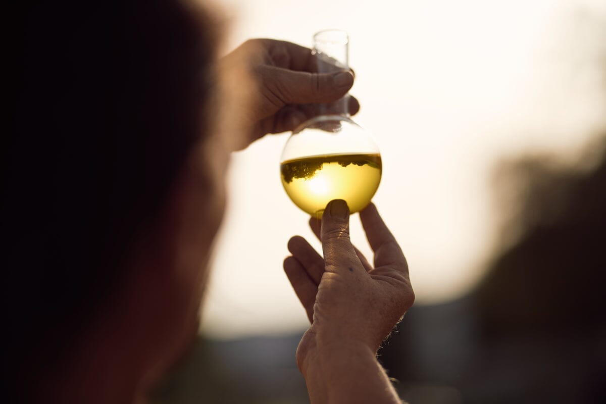 Šlamučių veido aliejus „Divine“