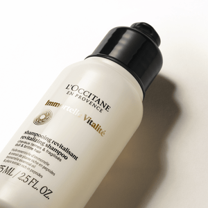Šlamučių šampūnas Normal L'Occitane