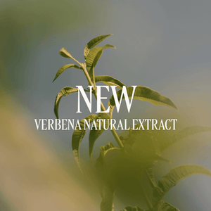 Verbenų (Verveine) dušo želė papildymas Refill L'Occitane