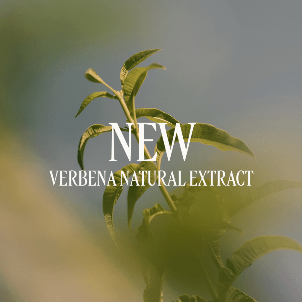 Verbenų (Verveine) kūno losjonas Normal L'Occitane
