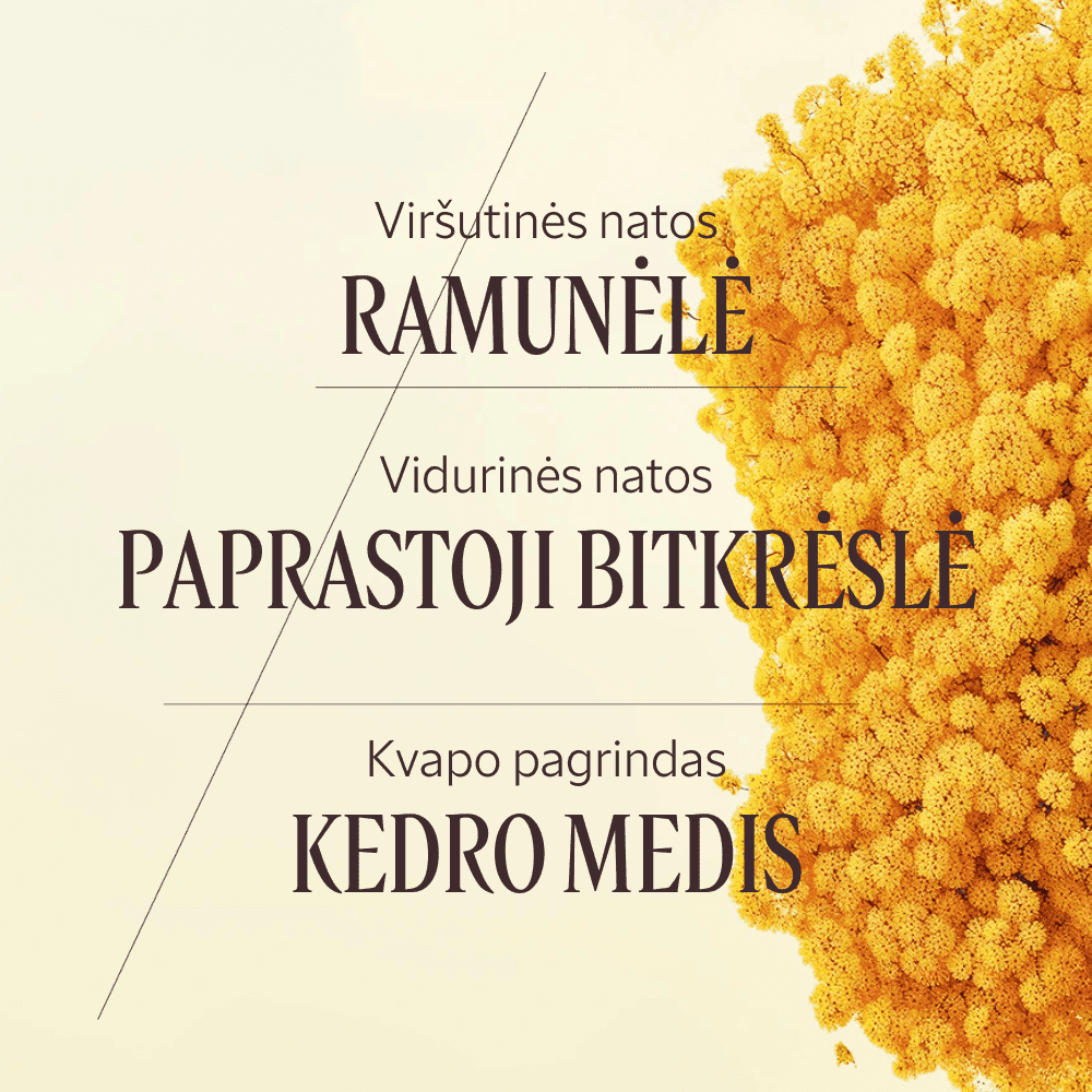 Kūno losjonas „Barbotine“ Normal L'Occitane