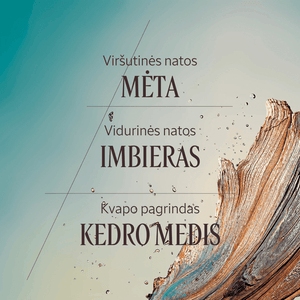 Dušo želė „Cedre Gingembre“ Normal L'Occitane