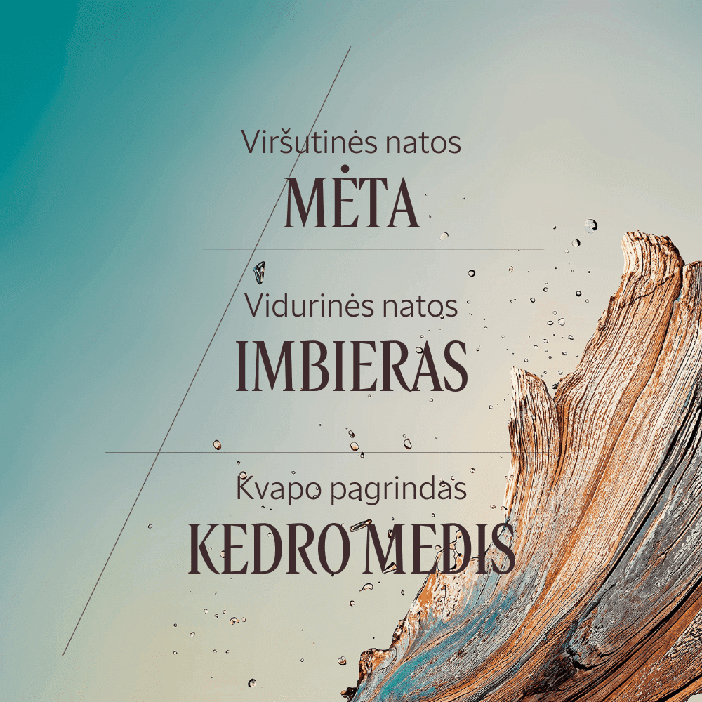 Dušo želė „Cedre Gingembre“ Normal L'Occitane