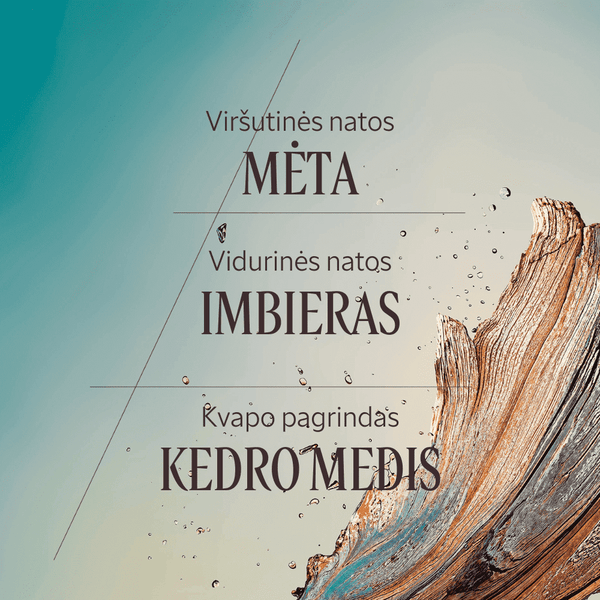 Dušo želė „Cedre Gingembre“ Normal L'Occitane