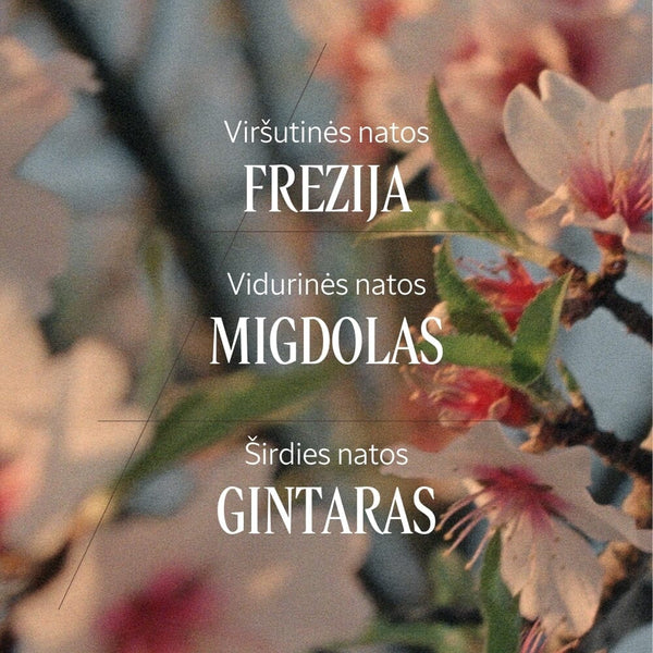 Migdolų (Amande) plaukų ir kūno dulksna Normal L'Occitane