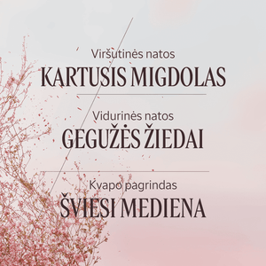 Kūno losjonas „Noble Epine“ Normal L'Occitane