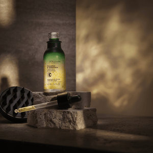 Naktinis galvos odos serumas Normal L'Occitane