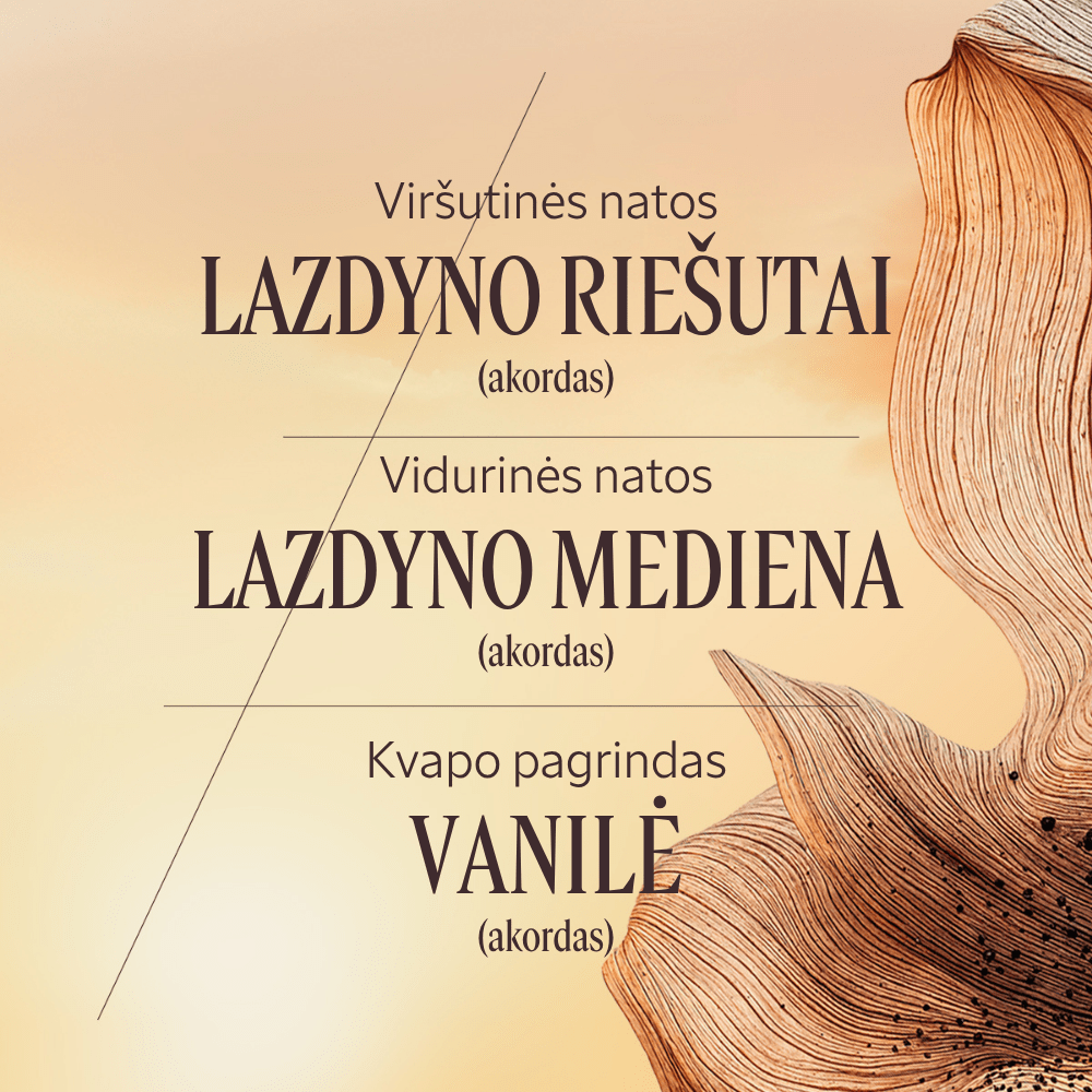 Parfumuota dušo želė „Noisetier Crémeux“ Normal L'Occitane
