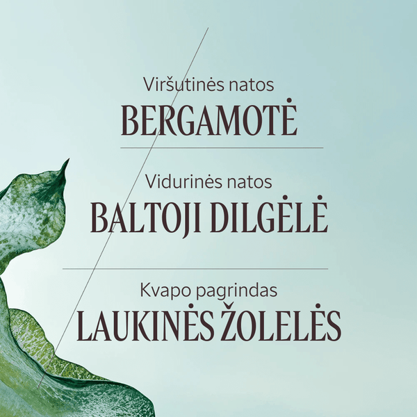 Parfumuotas vanduo „Ortie Blanche“ Normal L'Occitane