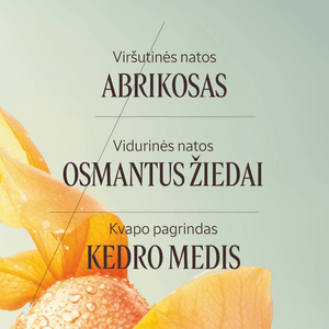 Kūno losjonas „Osmanthus Abricot“ Normal L'Occitane