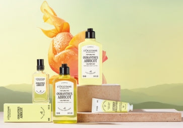 Osmanthus Abricot kolekcija