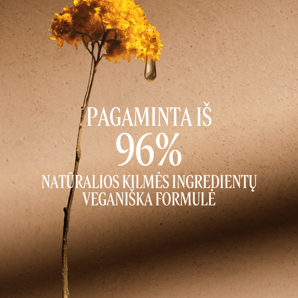Šlamučių „Divine“ kaklo kremas Normal L'Occitane