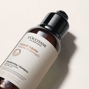 Stiprinamasis apimties suteikiantis šampūnas Normal L'Occitane