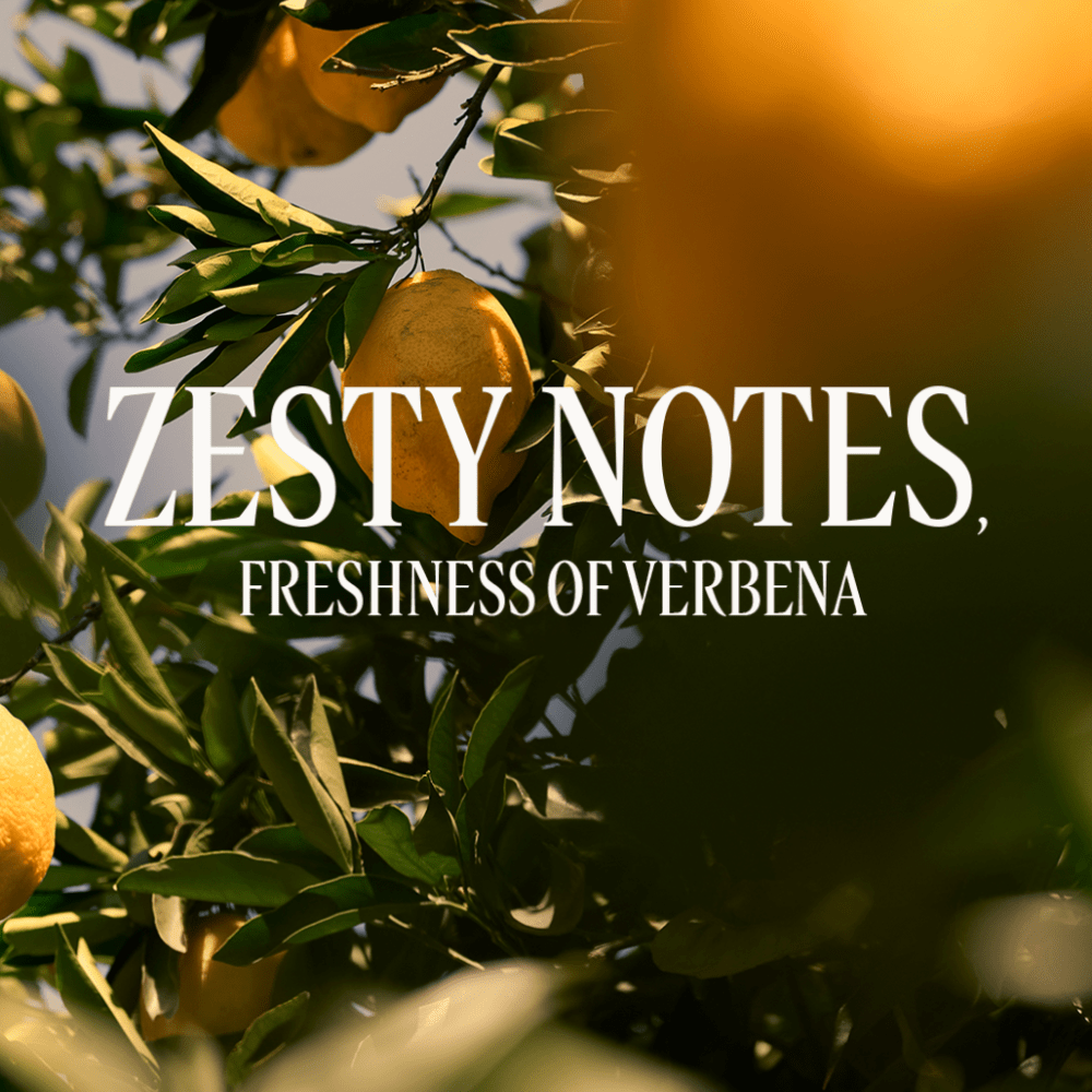 Citrusinių verbenų (Verveine Agrumes) tualetinis vanduo Normal L'Occitane