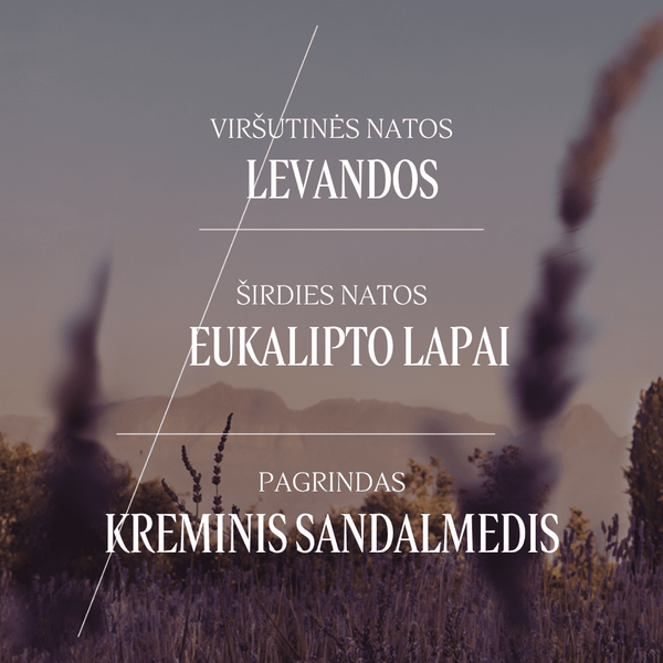 Levandų tualetinis vanduo Normal L'Occitane