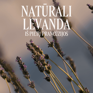 Levandų tualetinis vanduo Normal L'Occitane